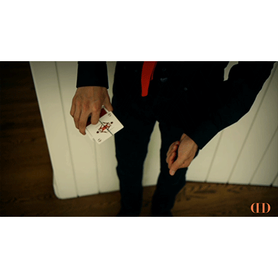 Trixel by Valdemar Gestur - Video Download